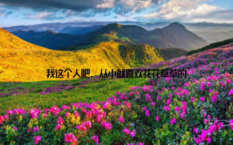 我这个人吧, 从小就喜欢花花草草的