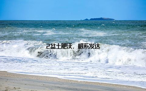 2盆土肥沃, 根系发达