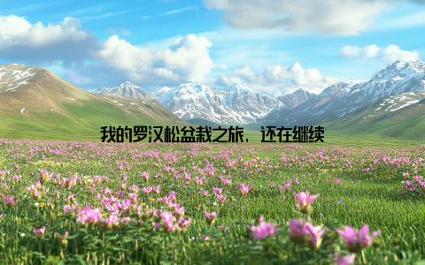 我的罗汉松盆栽之旅, 还在继续