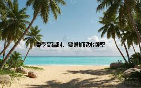 夏季高温时, 要增加浇水频率