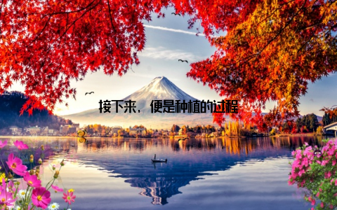 接下来, 便是种植的过程