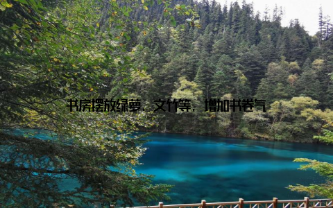 书房摆放绿萝、文竹等, 增加书卷气