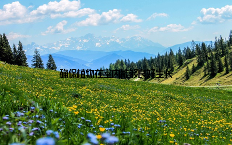 确保植物在室内能够良好生长