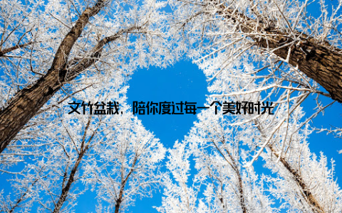 文竹盆栽, 陪你度过每一个美好时光