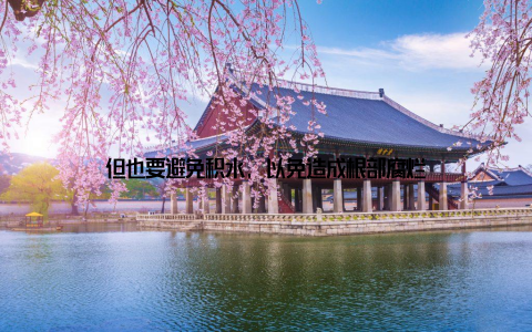 但也要避免积水, 以免造成根部腐烂