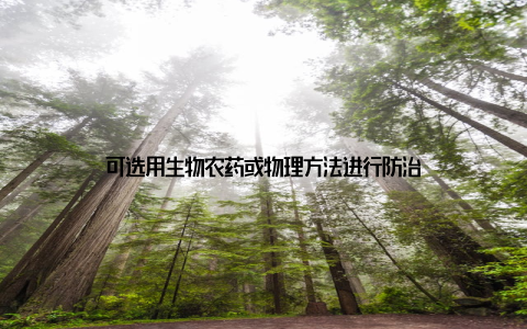 可选用生物农药或物理方法进行防治