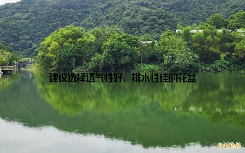 建议选择透气性好、排水性佳的花盆