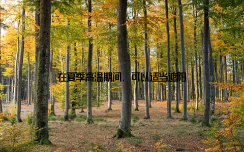 在夏季高温期间, 可以适当遮阳