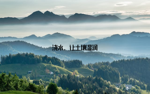 浇水, 让土壤湿润