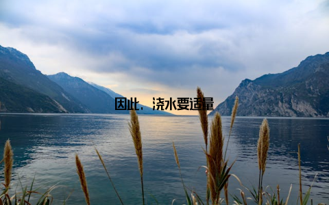 因此, 浇水要适量