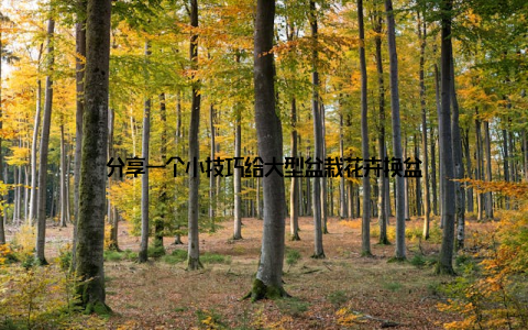 分享一个小技巧给大型盆栽花卉换盆