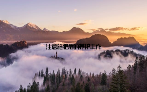 注意施肥后的养护工作