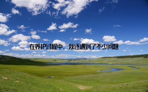 在养护过程中, 我还遇到了不少问题