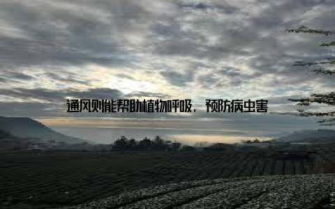 通风则能帮助植物呼吸, 预防病虫害