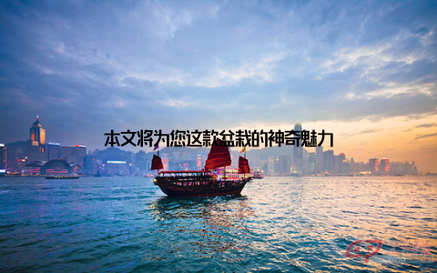 本文将为您这款盆栽的神奇魅力