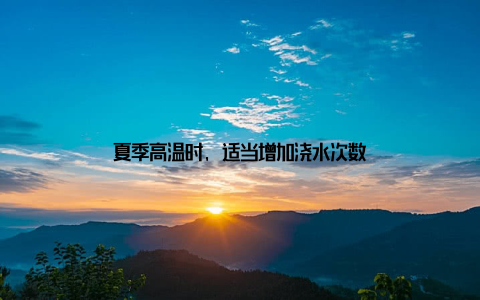 夏季高温时, 适当增加浇水次数