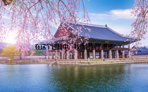 在这个过程中, 我体会到了很多