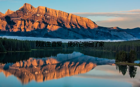 我心生喜爱, 便将它带回了家