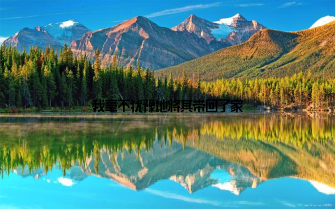 我毫不犹豫地将其带回了家