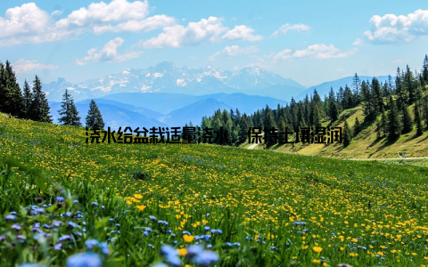 浇水给盆栽适量浇水, 保持土壤湿润