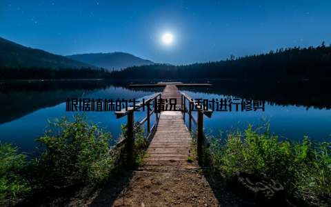 根据植株的生长情况, 适时进行修剪