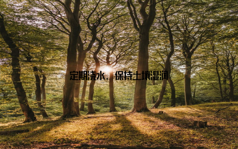 定期浇水, 保持土壤湿润