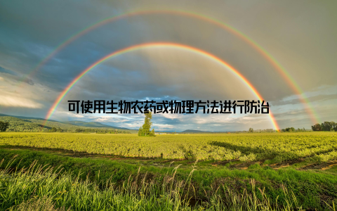 可使用生物农药或物理方法进行防治