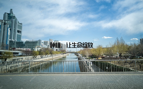 种植, 让生命绽放