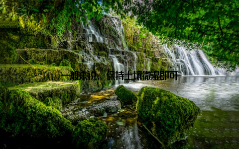 一般来说, 保持土壤微湿即可