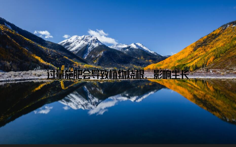 过量施肥会导致植物烧根, 影响生长