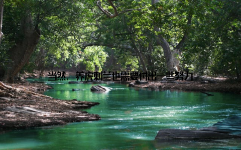 当然, 养虎刺兰也需要付出一些努力