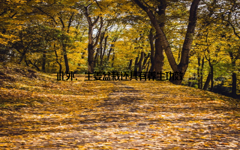 此外, 生姜盆栽还具有养生功效