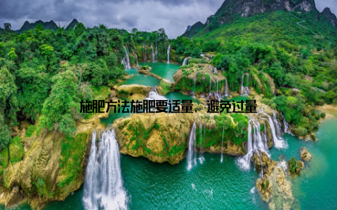 施肥方法施肥要适量, 避免过量