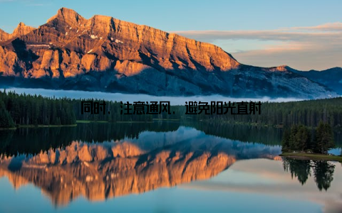 同时, 注意通风, 避免阳光直射