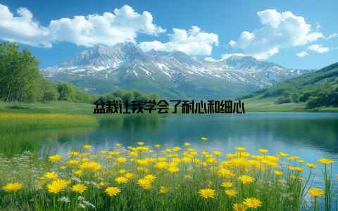 盆栽让我学会了耐心和细心