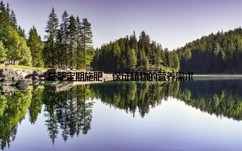 施肥定期施肥, 保证植物的营养需求