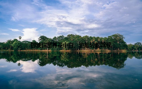 即使你是养花小白, 也能轻松驾驭