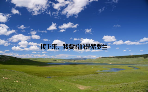 接下来, 我要说的是紫罗兰