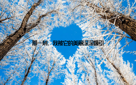 那一刻, 我被它的美丽深深吸引