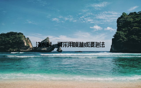 浇水时, 可采用喷淋或浸泡法