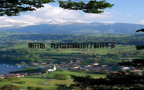 刚开始, 我对盆栽梅桂的了解并不多