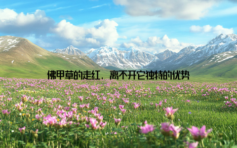 佛甲草的走红, 离不开它独特的优势