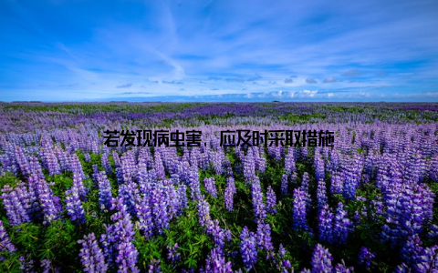 若发现病虫害, 应及时采取措施