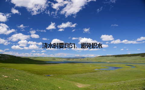 浇水时要均匀, 避免积水