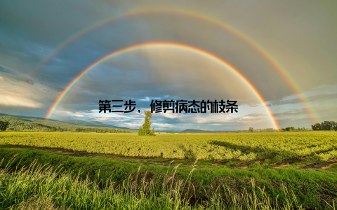 第三步, 修剪病态的枝条