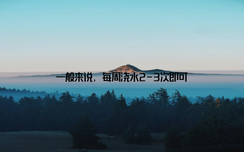 一般来说, 每周浇水2-3次即可