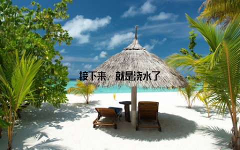 接下来, 就是浇水了