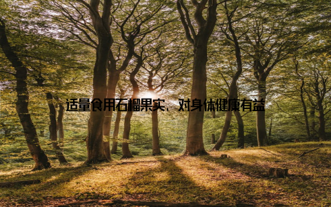 适量食用石榴果实, 对身体健康有益