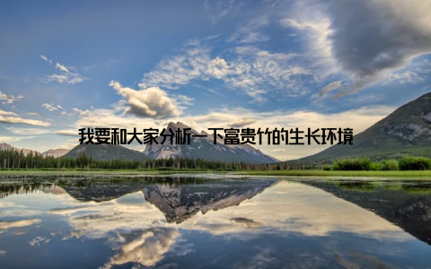 我要和大家分析一下富贵竹的生长环境