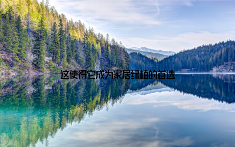 这使得它成为家居绿植的首选